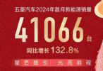 五菱汽车1月新能源销量41066辆，同比增长132.8%