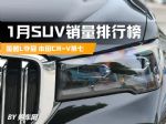 1月SUV零售销量榜完整版，比亚迪未进前十