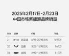 2025年第8周新能源品牌销量榜 小鹏夺新势力销冠