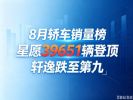8月轿车零售销量榜：新能源霸榜前五，朗逸排第六